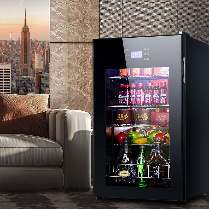 Cold Storage Refrigerator 95L  - Food Storage Zone recension och pris